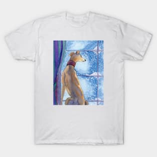 A greyhound dog admires the snowfall from his nice warm seat inside T-Shirt